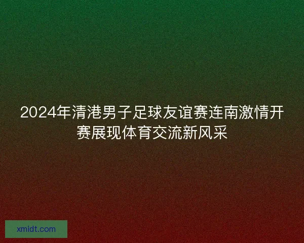 2024年清港男子足球友谊赛连南激情开赛展现体育交流新风采